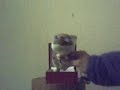 Sammy's Introduction