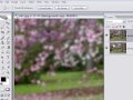 Soft focus effect in Photoshop 