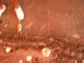 niver08 080.avi