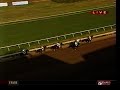 BIG BROWN - 2008 Haskell Invitational