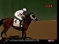 BIG BROWN - 2008 Haskell Invitational