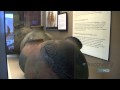 Who Knew ?- San Diego Archaeological Center Edition