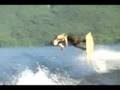 Toe side trip flip problems