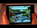 Idolian TurboTab 8 Android Tablet looks great! Affordable too!