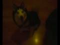videos de the kids