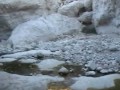 טיול מכפר הנוקדים לים המלח דרך נחל צאלים - ברכת צפירה - ברכת נעמה - עין נמראני וג'נט