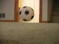 videos de Soccer Ball Movie