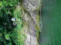 videos de RIO TORO NEGRO2