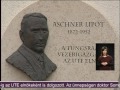 Aschner Lipótra emlékeztek