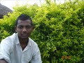 My Pics