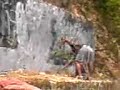 pintan ilegal los xpansivoz deos y risk pintan ilegal los xpansivoz deos y risk
