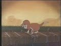 Banjo ~ I Don\