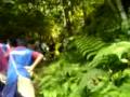 Hantu Hutan Lipur Bukit Mertajam,penang