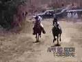 Carrera De Caballo