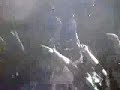 Perreo Mami Perreo