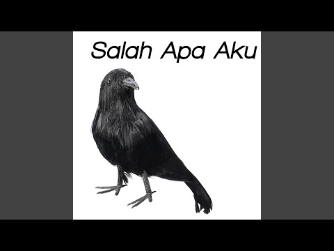 4 45 Mb Download Lagu Dj Ku Simpan Rindu Dihati Versi Burung Gagak Remix Mp3 Gratis Cepat Mudah