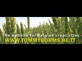 Cropcirkel Gavere
