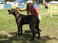 24� Exposi��o Internacional de Sintra