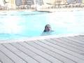 videos de GALVESTON PISCINE