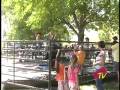 videos de Section One TV 0843 