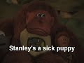 follow pat on twitter! twitter.com go to thepunkeffect.com for all of pat's latest videos! review of donkey kong 3 from black box part 2