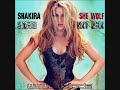 Vocals: Shakira Remixing, arranging, etc: Smello