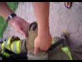 Firefighters!!! Firefighters!!!