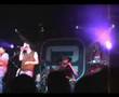 Two Spot Gobi Sunshine Lady at Concorde 2