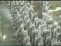 Terra-cotta warriors & horses Xian - China