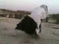 Turkisk_ Moppe