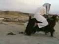 videos de Turkisk_ Moppe