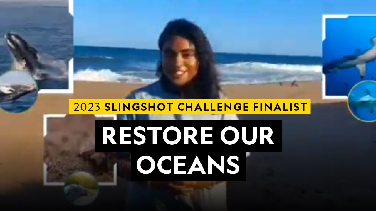 Slingshot Challenge National Geographic Society