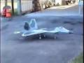 RC F22 RAPTOR JET
