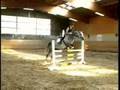 Springreiten