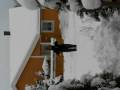 videos de Wilma al trabajo
