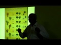 Charla sobre vinos gallegos en Casa Alongos