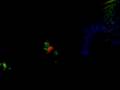 Bailando en la casona! Potencia!!!