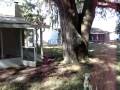 videos de esco