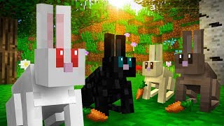 Everything You Need To Know About RABBITS In Minecraft!