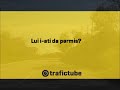 Idiot cu permis