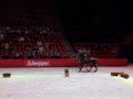 Ecole Portugaise d'Art Equestre : Final