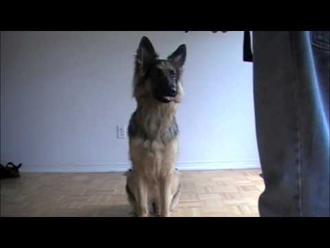 YouTube voorvertoningsafbeelding