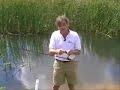 WaveCast Reel
