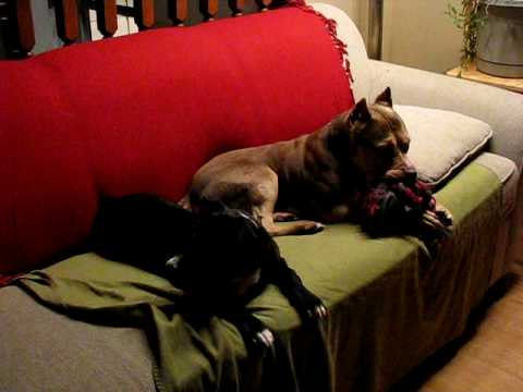 tila2