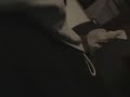 Stryker Squeaky and Popping Hips