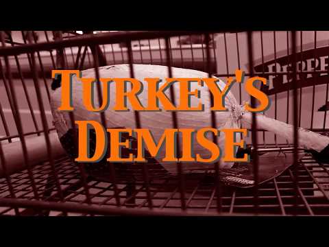 Turkey's Demise- Amanda Badzé & Greg Banks live @ Twins Jazz