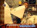 briconsejo