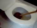 plunger