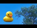 RUTV - Seven Drugs a Day trailer (THE GUD\ RUTV - Seven Drugs a Day trailer (THE GUD\