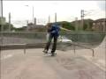 videos de Skate Park